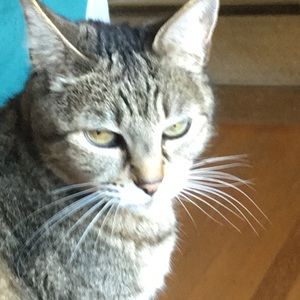 Meet your Posher, Mary